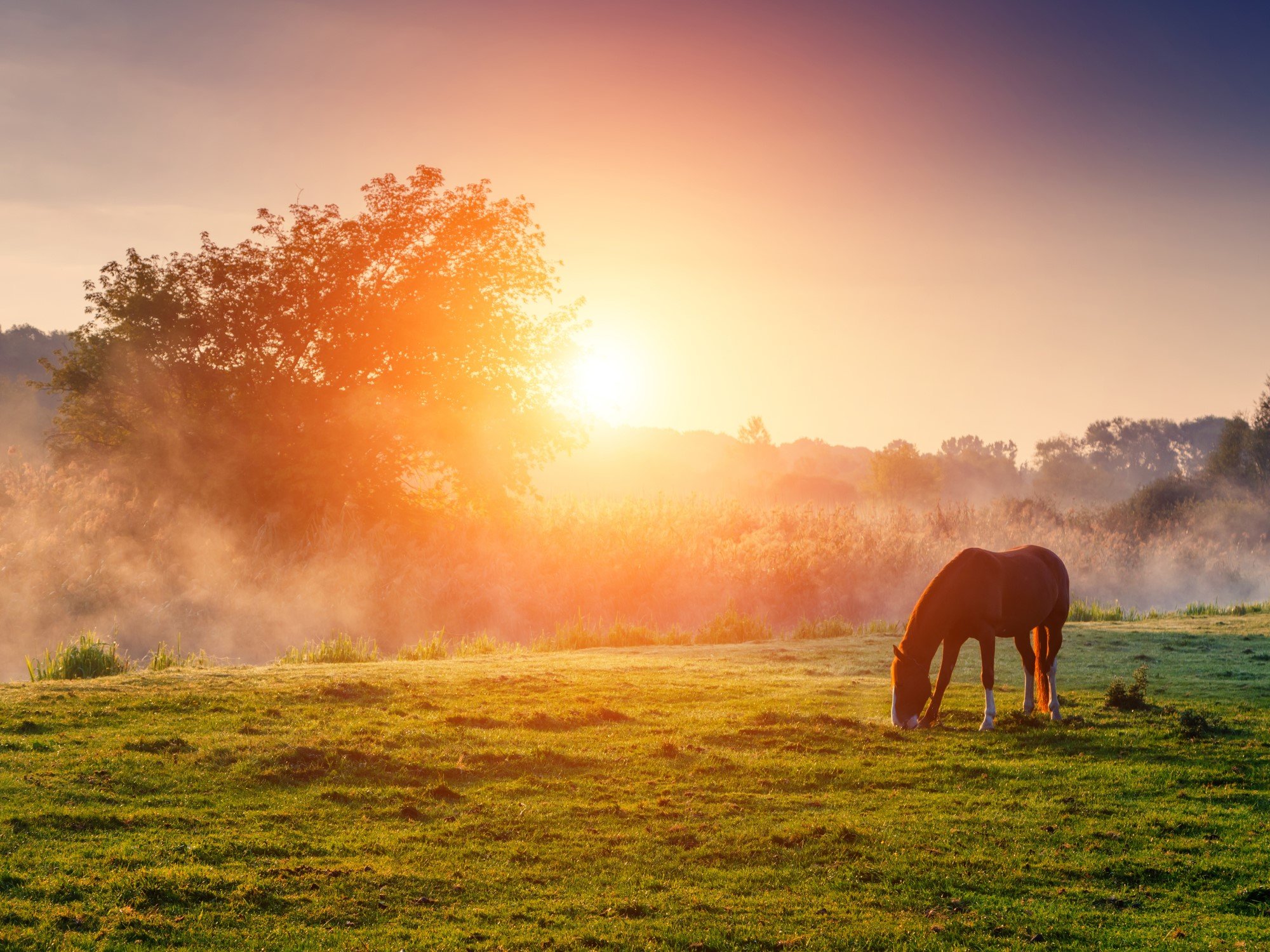 Horse property in Clayton