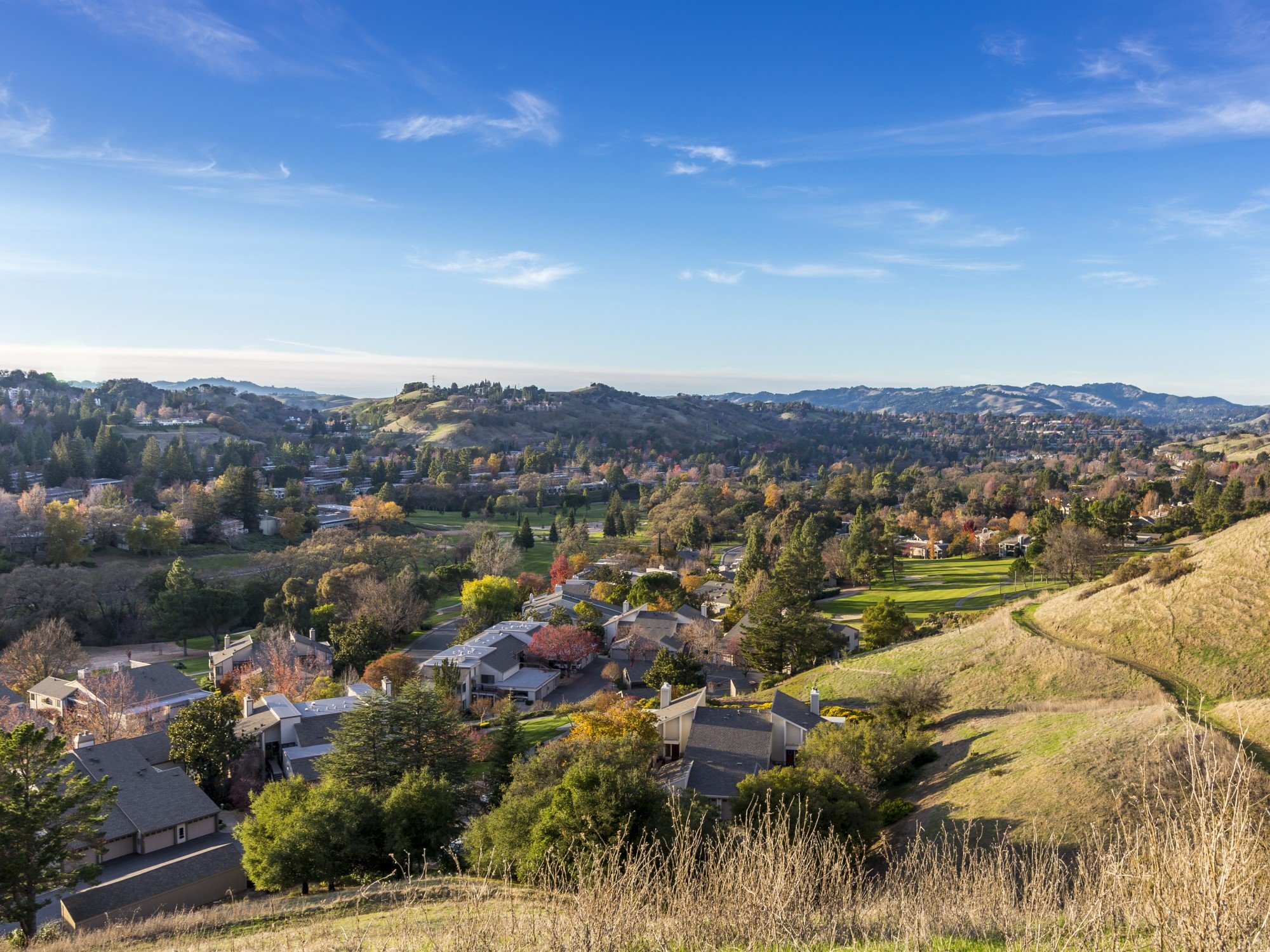 Rossmoor area guide